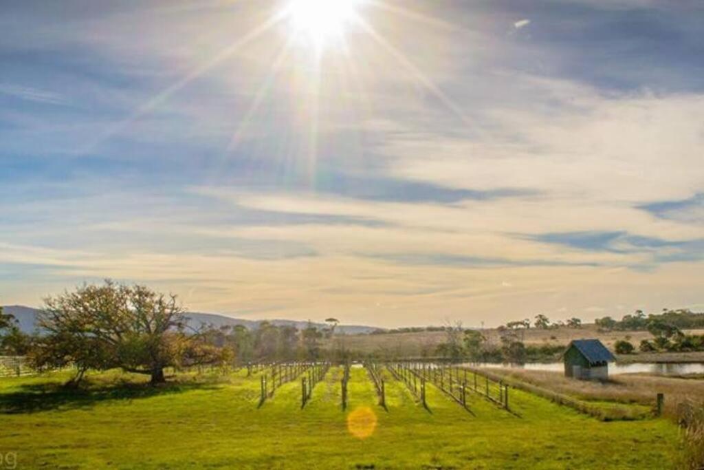 *Newly Relisted* Coach House At Lisdillon Vineyard Little Swanport Exterior foto