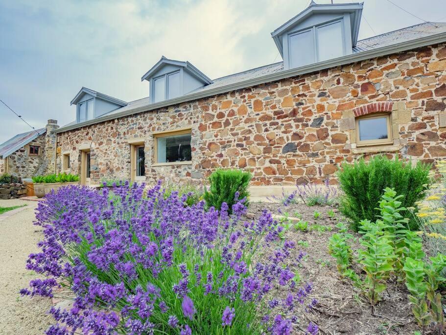 *Newly Relisted* Coach House At Lisdillon Vineyard Little Swanport Exterior foto