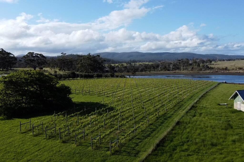 *Newly Relisted* Coach House At Lisdillon Vineyard Little Swanport Exterior foto